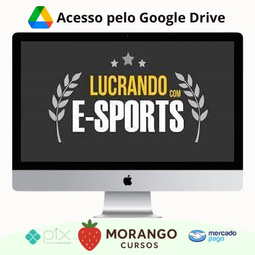 Imagem do rateio do curso Curso Apostando em E-Sports (Jogos Eletronicos: Lol, Cs-Go, Dota2) - Lucrando Com E-Sports