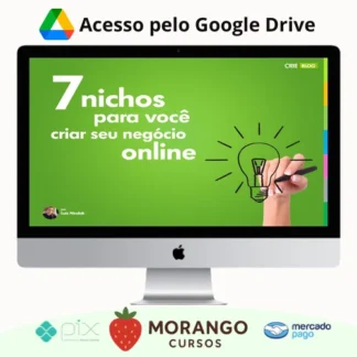 Imagem do rateio do curso 7 Nichos para Você Criar seu Negócio Online - Luiz Nicolak