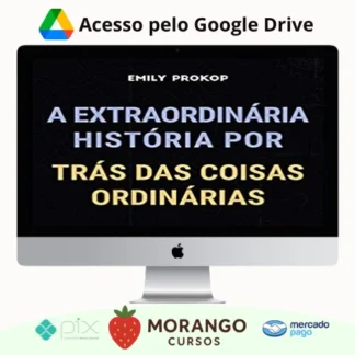 Imagem do rateio do curso A Extraordinária História por Trás das Coisas Ordinárias - Emily Prokop
