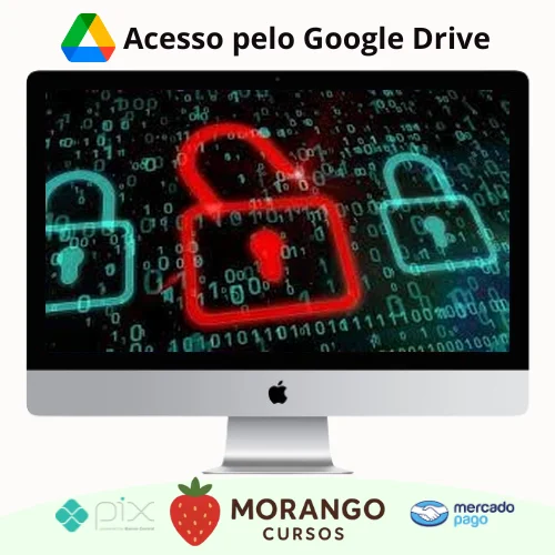 Imagem do rateio do curso Bootcamp Ataques de Negação de Serviço (DoS) com Kali Linux - Clécius Wilton