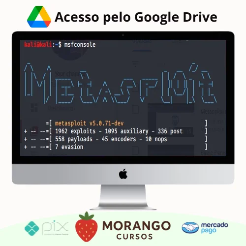 Imagem do rateio do curso Certified Metasploit Framework Professional (Module 1 a 4) - Laimoon [INGLÊS]
