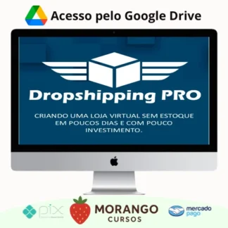 Imagem do rateio do curso Dropshipping Pro - Bruno Montor