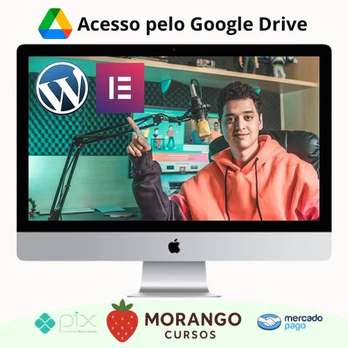 Imagem do rateio do curso Elementor: Como Criar Sites Personalizados no WordPress - Gabriel Nascimento