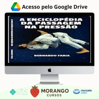 Imagem do rateio do curso Enciclopédia da Passagem na Pressão - Bernardo Faria