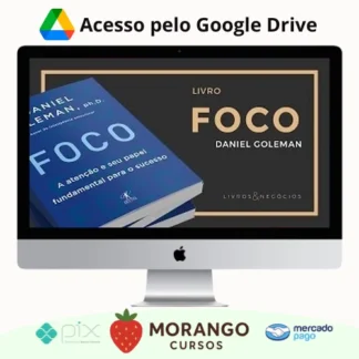 Imagem do rateio do curso Foco - Daniel Goleman