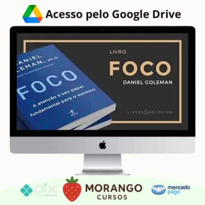 Imagem do rateio do curso Foco - Daniel Goleman
