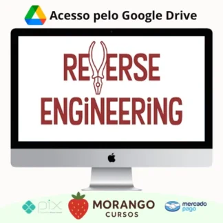 Imagem do rateio do curso Getting Started With Reverse Engineering - Pluralsight [Inglês]
