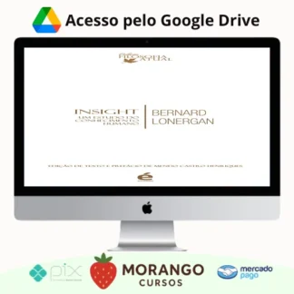 Imagem do rateio do curso Insight: Um Estudo do Conhecimento Humano - Bernard Lonergan
