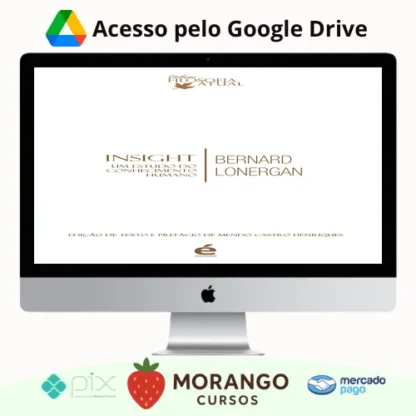 Imagem do rateio do curso Insight: Um Estudo do Conhecimento Humano - Bernard Lonergan