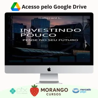 Imagem do rateio do curso Investindo Com Pouco - Luiz Gallerani