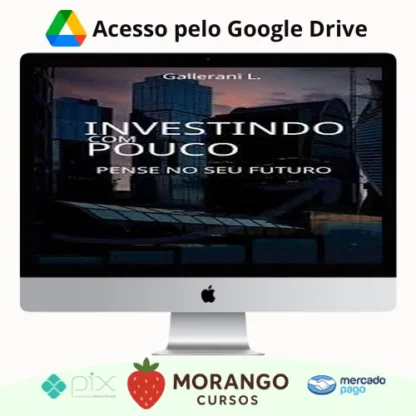 Imagem do rateio do curso Investindo Com Pouco - Luiz Gallerani