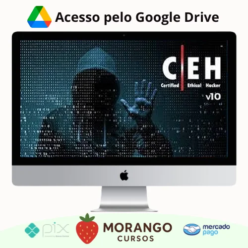 Imagem do rateio do curso ITpro tv Certified Ethical Hacker v10 (CEH v10) - EC-Council [INGLÊS]