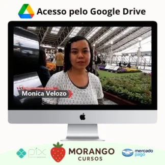 Imagem do rateio do curso Japonês Básico: Escreva em Japonês - Monica Velozo