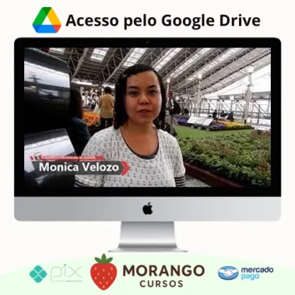Imagem do rateio do curso Japonês Básico: Escreva em Japonês - Monica Velozo