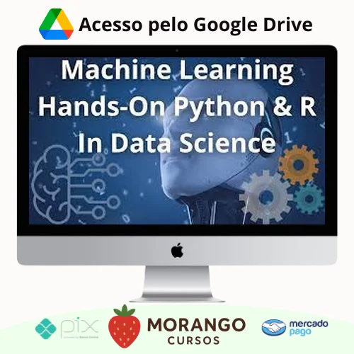 Imagem do rateio do curso Machine Learning A-Z™ Hands-On Python & R In Data Science - Apex Education [Inglês]