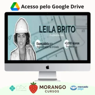 Imagem do rateio do curso Mini Curso: Redes Sociais para Engenheiros - Leila Brito