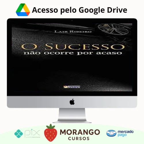 Imagem do rateio do curso O Sucesso Não Ocorre Por Acaso - Lair Ribeiro
