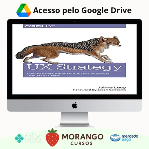 Imagem do rateio do curso O'Reilly Books: UX Strategy How to Devise Innovative Digital Products that People Want - Jaime Levy [INGLÊS]