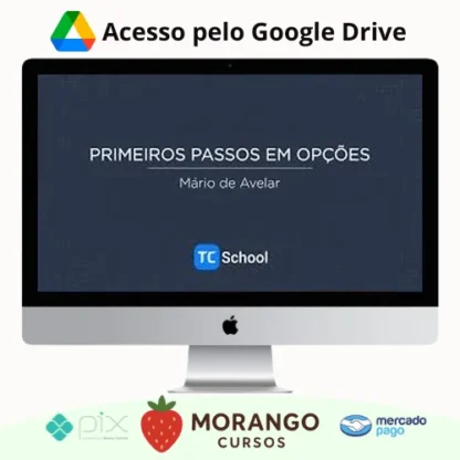 Imagem do rateio do curso Primeiros Passos em Opções - Mário de Avelar