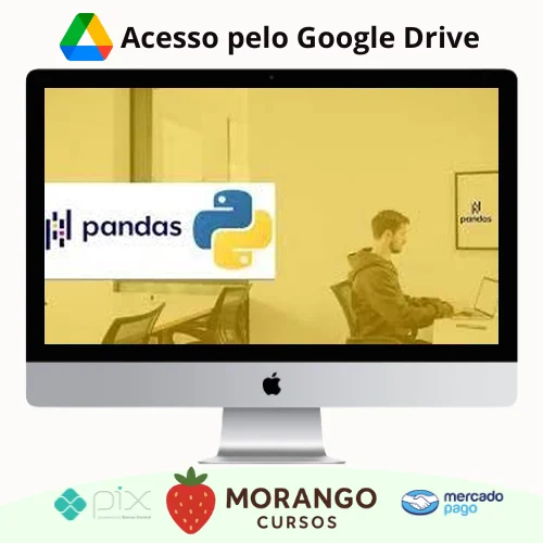 Imagem do rateio do curso The Ultimate Pandas Bootcamp Advanced Python Data Analysis - Andy Bek [Inglês]