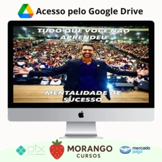 Imagem do rateio do curso Tudo Que Você Não Aprendeu: Mentalidade de Sucesso - Luis Felipe