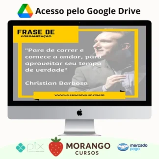 Imagem do rateio do curso Viva Com Organização - Christian Barbosa