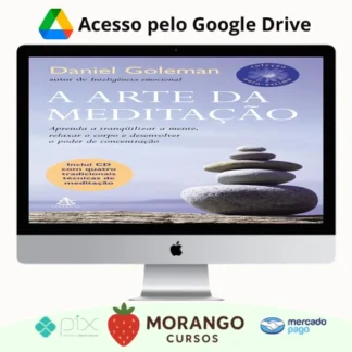 Imagem do rateio do curso A Arte da Meditação - Daniel Goleman