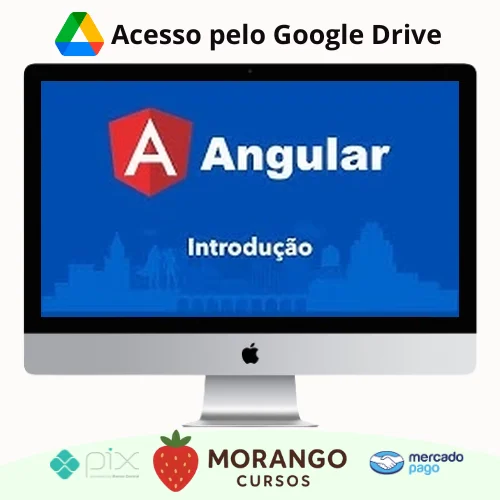 Imagem do rateio do curso Angular do Básico ao Avançado - Loiane Groner