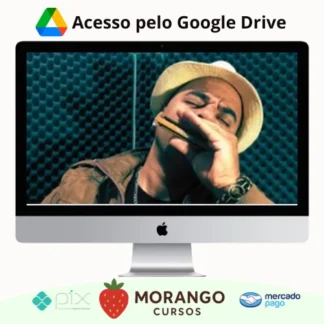 Imagem do rateio do curso Aprenda Gaita Blues - Max William Pianura Miguel