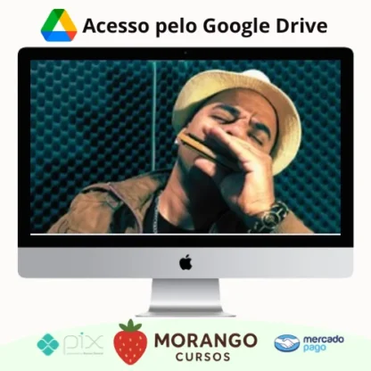 Imagem do rateio do curso Aprenda Gaita Blues - Max William Pianura Miguel