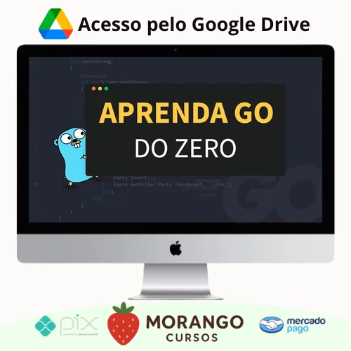 Imagem do rateio do curso Aprenda Golang do Zero! Desenvolva uma Aplicação Completa! - Otávio Augusto Gallego