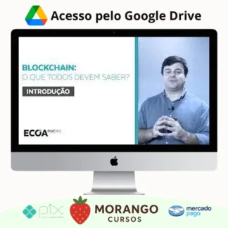 Imagem do rateio do curso Blockchain: O que todos devem saber - Rafael Nasser
