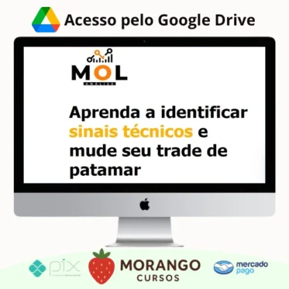 Imagem do rateio do curso Combo Livro Mol + Curso Day Trade Discricionário - Bruno Rafael