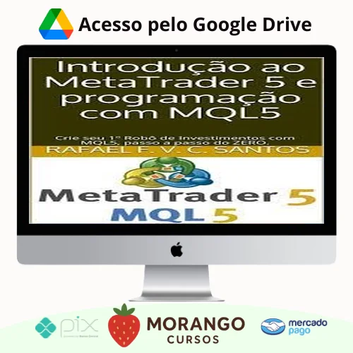 Imagem do rateio do curso Crie Seu Primeiro Robô Utilizando Mql5 - Rafael F. V. C. Santos