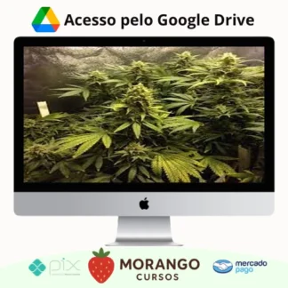 Imagem do rateio do curso Cultivo Indoor de Plantas Medicinais - Jean Silva