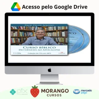 Imagem do rateio do curso Curso Bíblico: Do Gênesis ao Apocalipse - Felipe Aquino