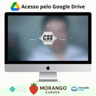 Imagem do rateio do curso Curso CSS um Passo Adiante - Tárcio Zemel
