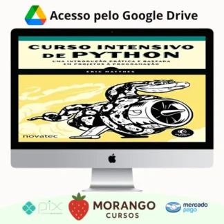 Imagem do rateio do curso Curso Intensivo de Python Uma - Eric Matthes