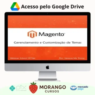 Imagem do rateio do curso Curso Magento Gerenciamento e Customização de Temas - School of Net