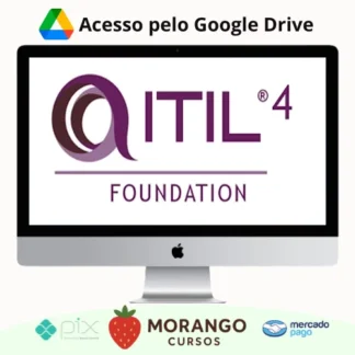 Imagem do rateio do curso Curso Preparatório Itil - Autor Não Informado