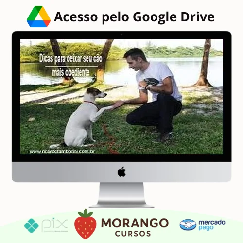 Imagem do rateio do curso Desafio Cão Obediente - Marcelo Bessa