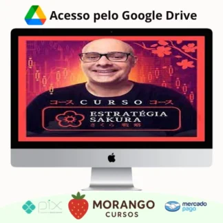 Imagem do rateio do curso Estratégia Sakura - Leo Werneck