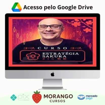 Imagem do rateio do curso Estratégia Sakura - Leo Werneck