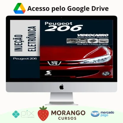 Imagem do rateio do curso Injeção Eletrônica: Peugeot 206 - VideoCarro