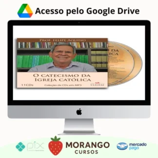 Imagem do rateio do curso O Catecismo da Igreja Católica - Felipe Aquino
