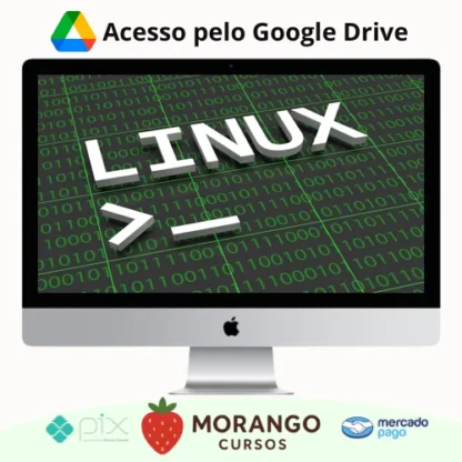 Imagem do rateio do curso Primeiros Passos no Linux: Conceitos e Principais Comandos - Ricardo Prudenciato