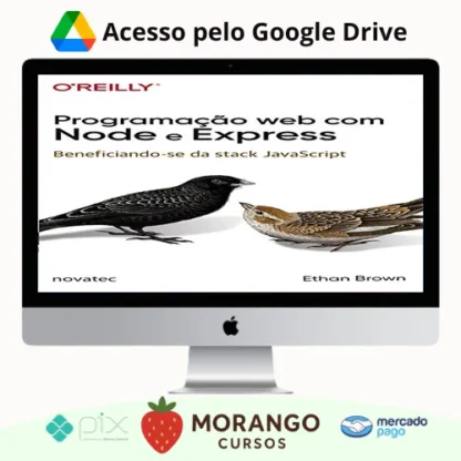 Imagem do rateio do curso Programação Web com Node e Express: Beneficiando-Se da Stack Javascript - Ethan Brown