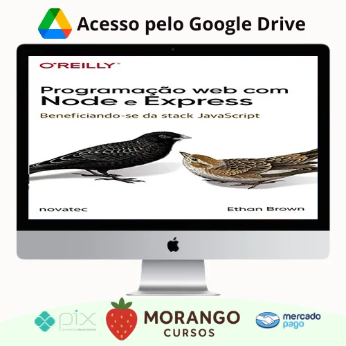 Imagem do rateio do curso Programação Web com Node e Express: Beneficiando-Se da Stack Javascript - Ethan Brown