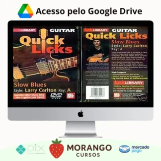 Imagem do rateio do curso Quick Licks - Lick Library Guitar [INGLÊS]