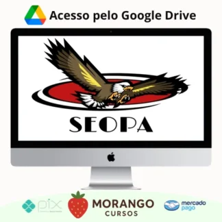 Imagem do rateio do curso SEOPA 2.0 - João Martinho